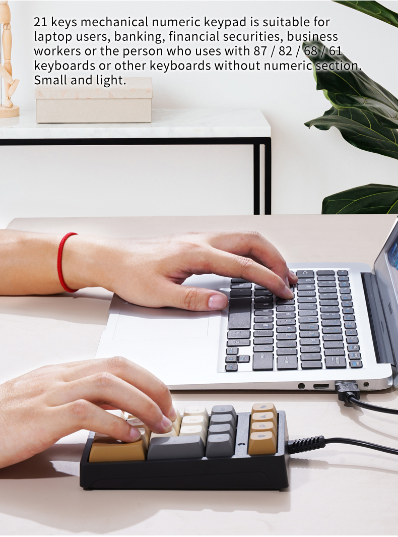 21-Key Mini Wired Keypad RGB B - Keyboard Numpad Separate บทวิจารณ์และราคา